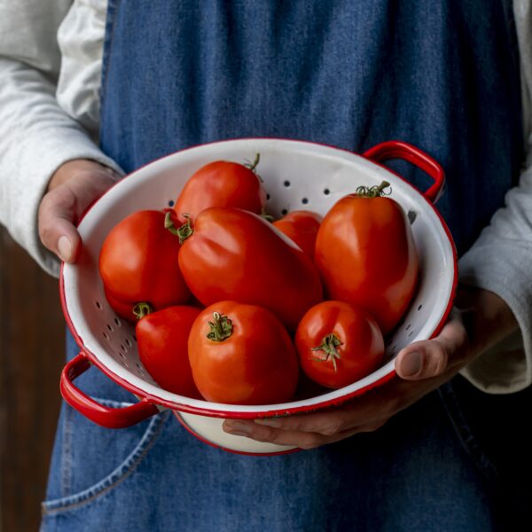 Tomato - Big Mama F1 - Image 2