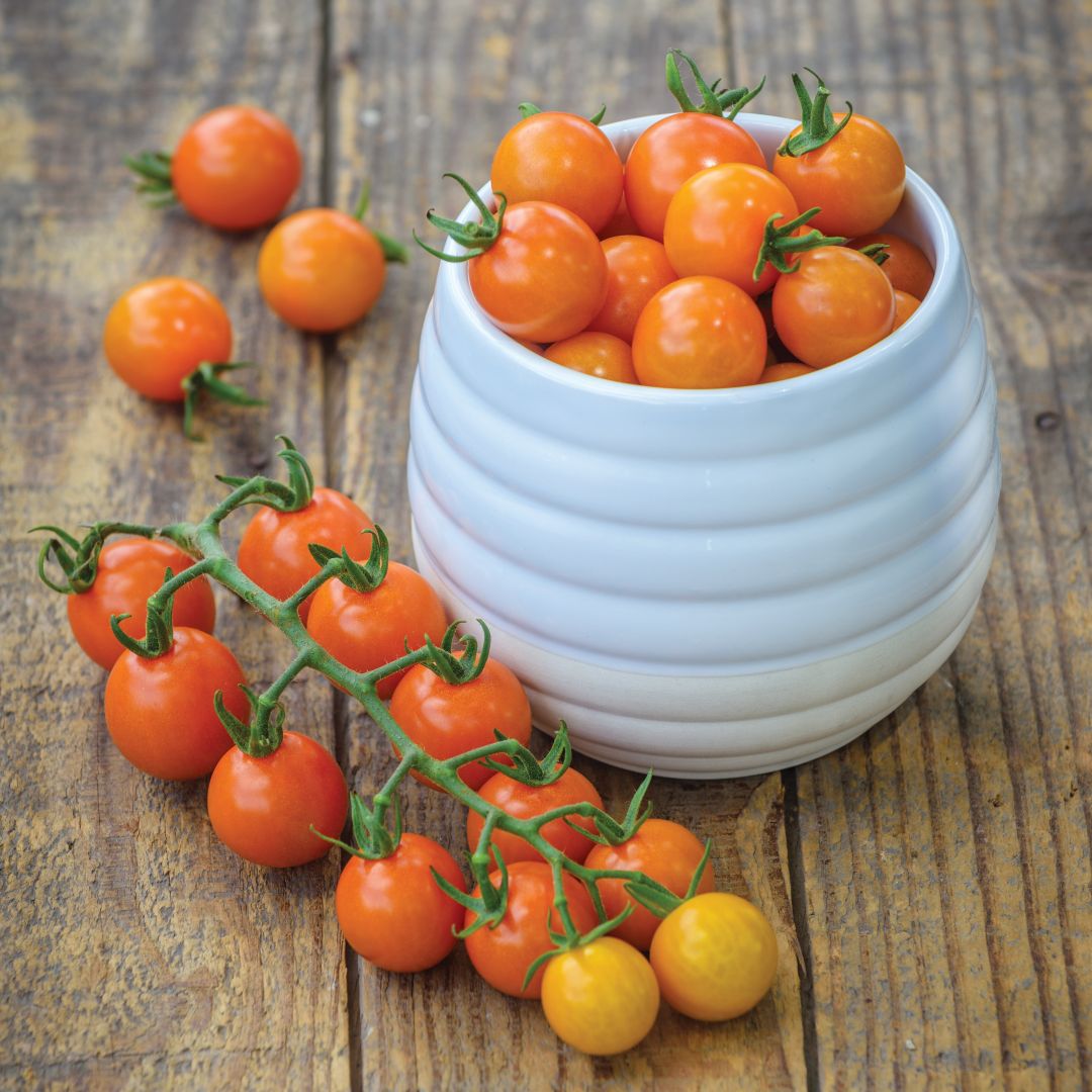 Tomato Honeycomb F1 - Image 3