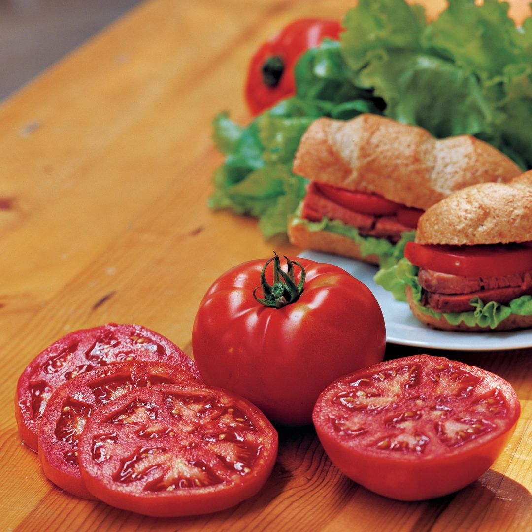 Tomato Steak Sandwich - Image 2