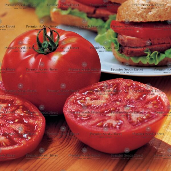 Tomato - Steak Sandwich
