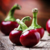 Hot Chilli Pepper - Large Red Cherry