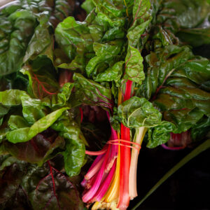 Swiss Chard - Rainbow Mix