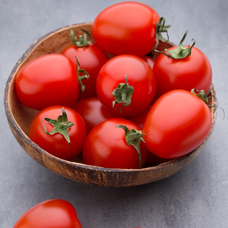 Tomato Principe Premier Seeds Direct