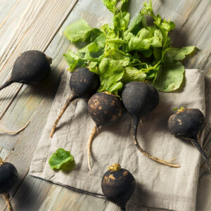 Freshly harvested Black Spanish Radishes with light green leaves on a cloth on a wooden surface