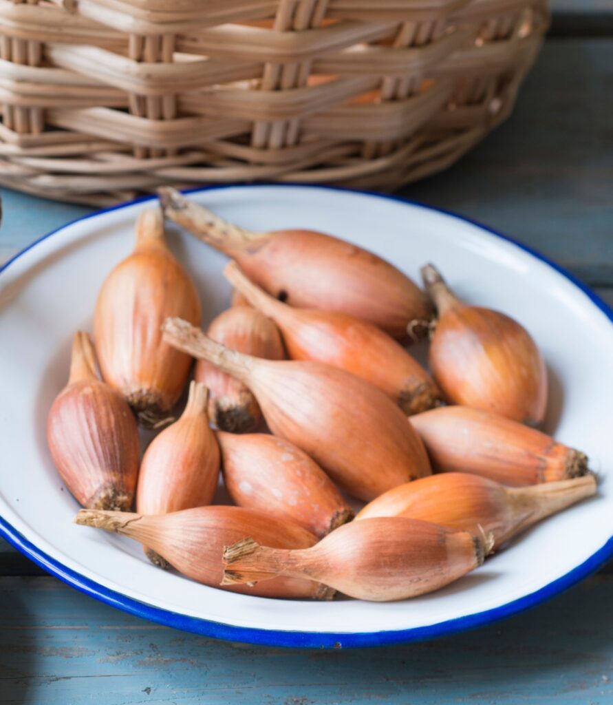 BlackSprut Onion  Элиста