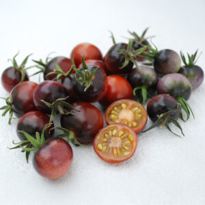 Tomato Indigo Blue Berries