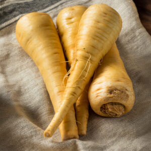 Parsnip Gladiator F1