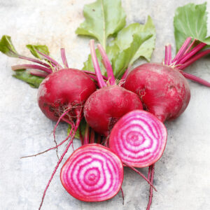 Beetroot Chioggia