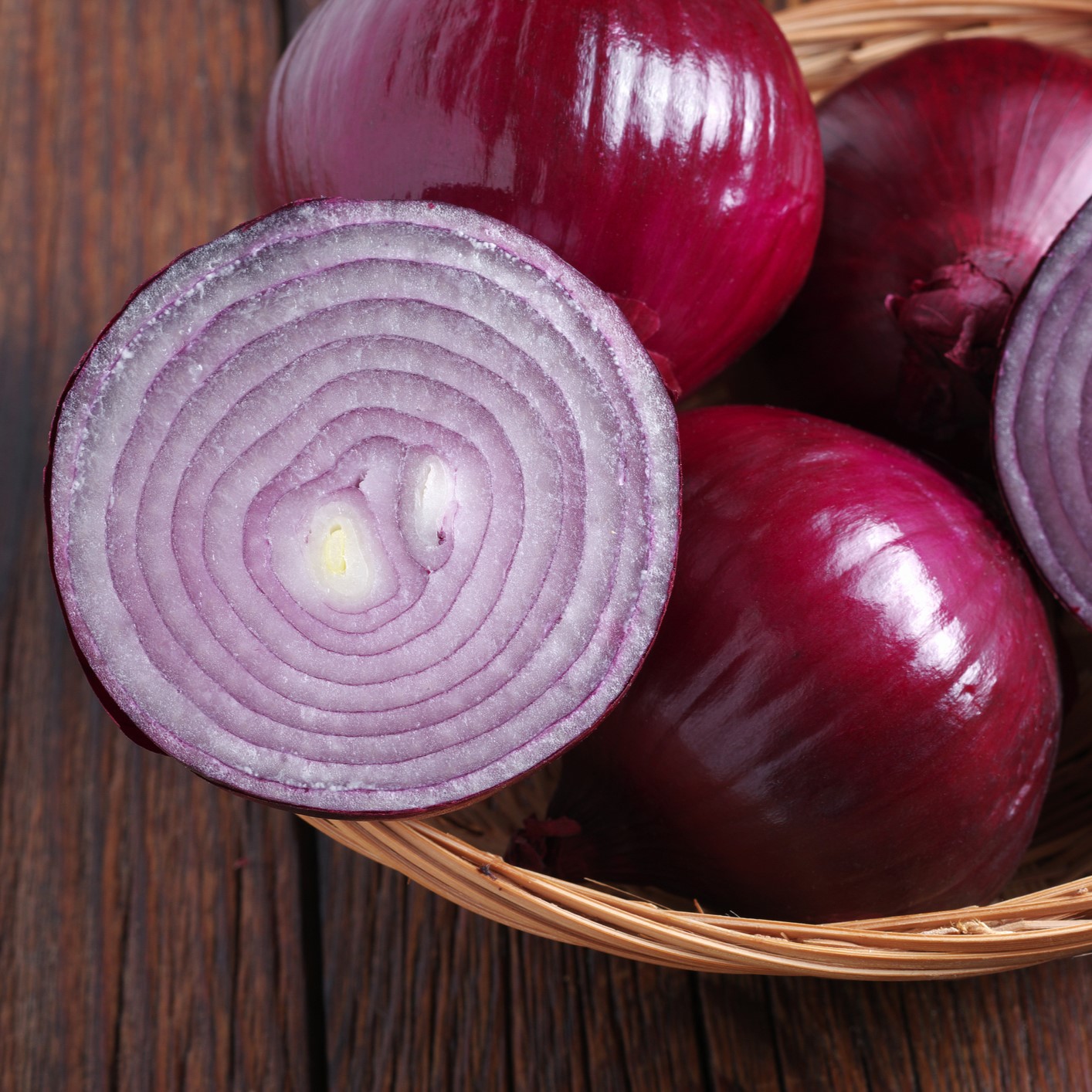 Onion Red Creole - Image 3