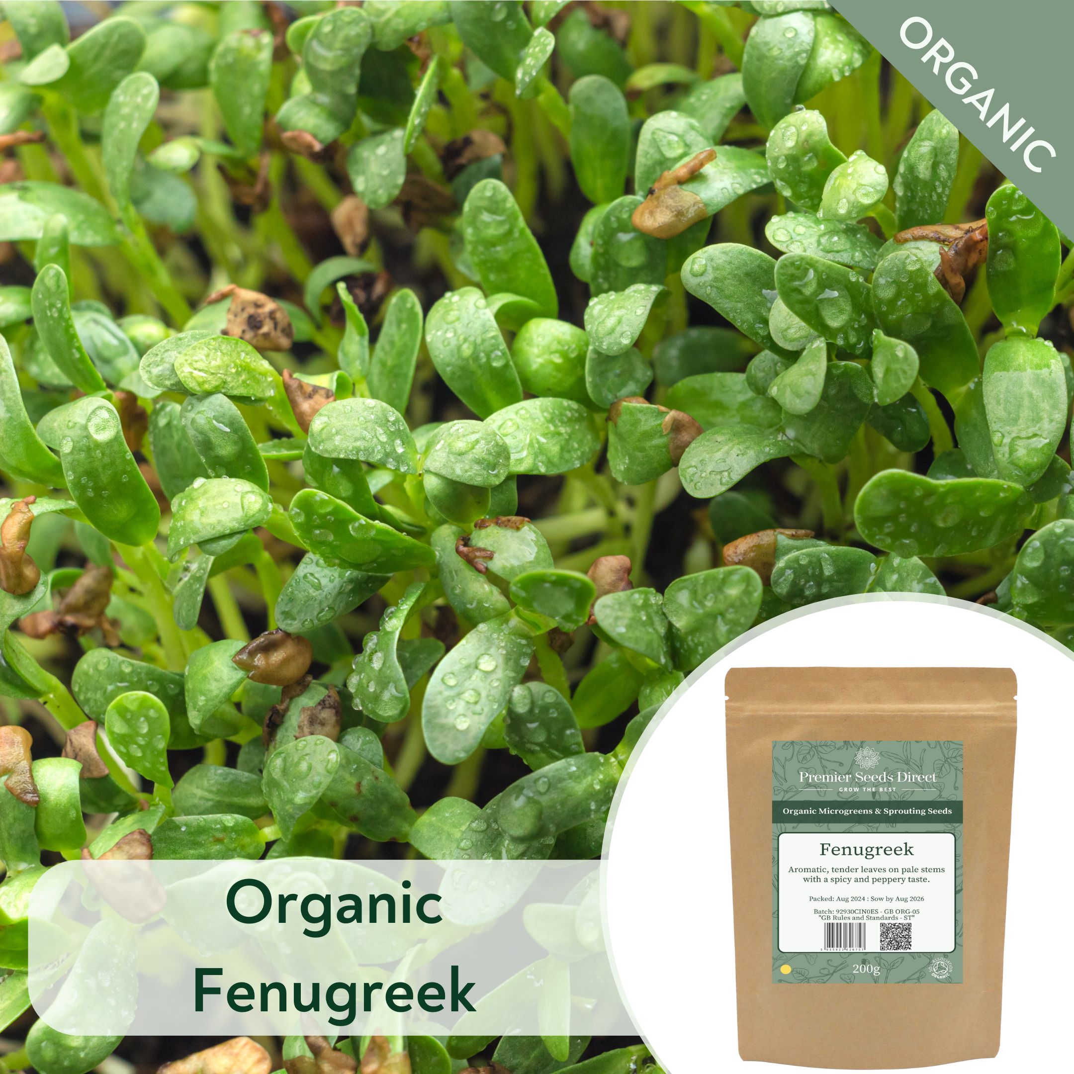 ORG Fenugreek