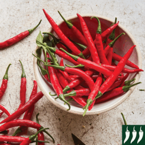 Dwarf Pepper Hot - Reggae