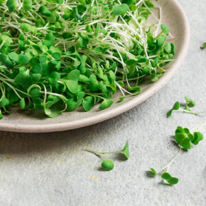 Organic Rocket Cultivated - Microgreen / Sprouting