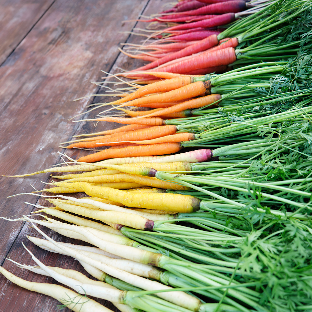 A mix of rainbow coloured carrots in red, purple, orange, yellow, and white on a wooden surface