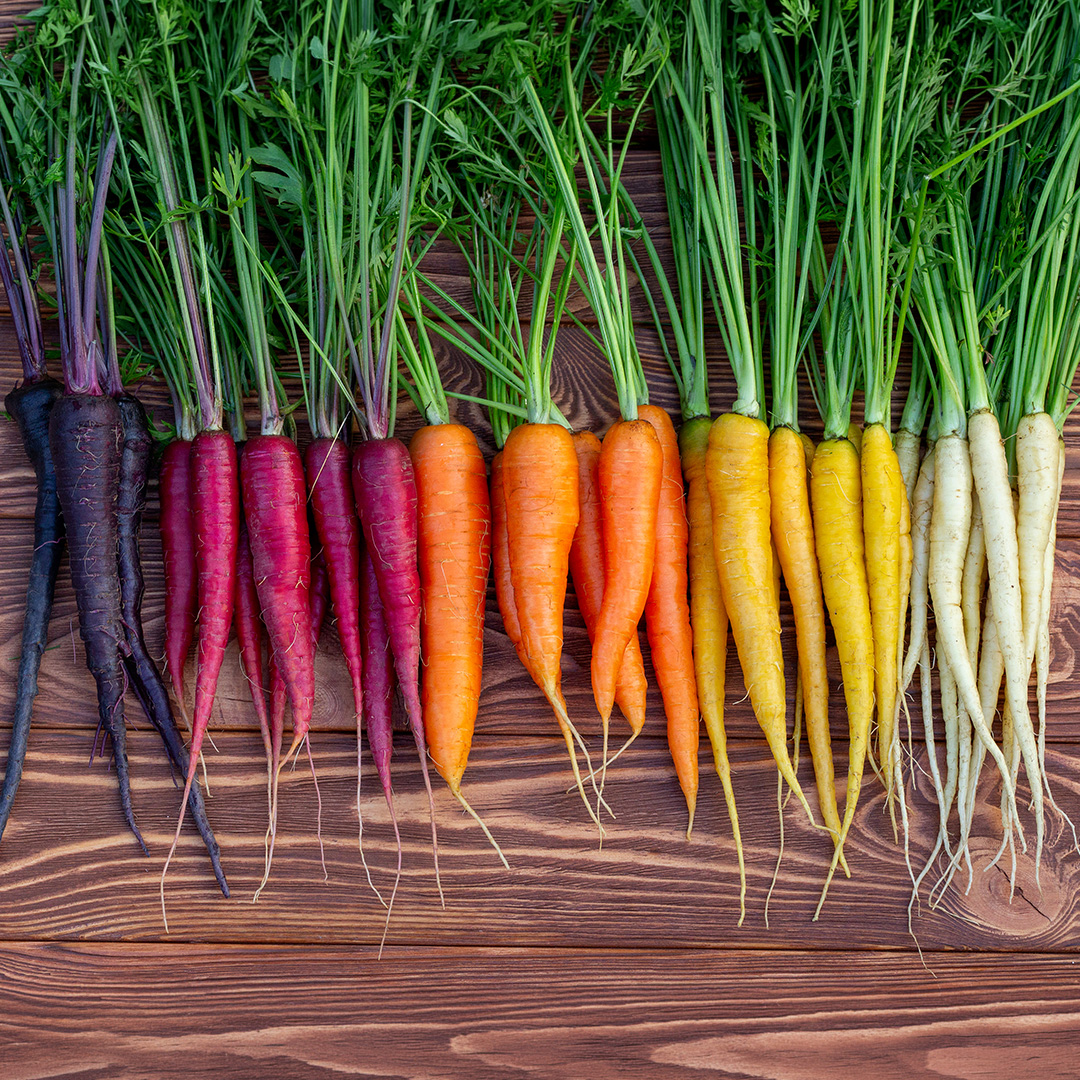 A mix of rainbow coloured carrots in red, purple, orange, yellow, and white on a wooden surface