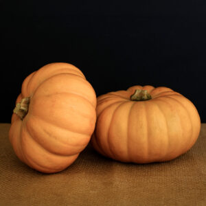 Squash Autumn Crown F1