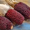 Heirloom Red Popping Corn Strawberry - Image 2
