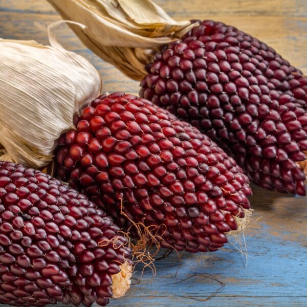 Heirloom Red Popping Corn Strawberry - Image 2