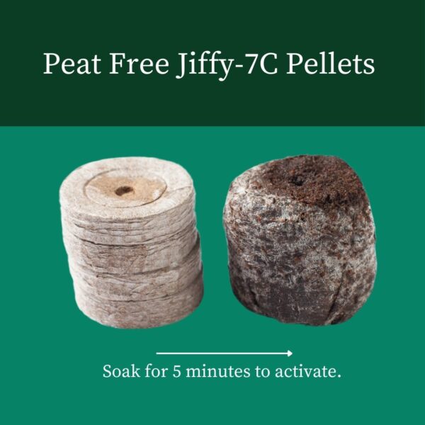 JIFFY 7C PEAT FREE PELLETS 35mm - Image 2