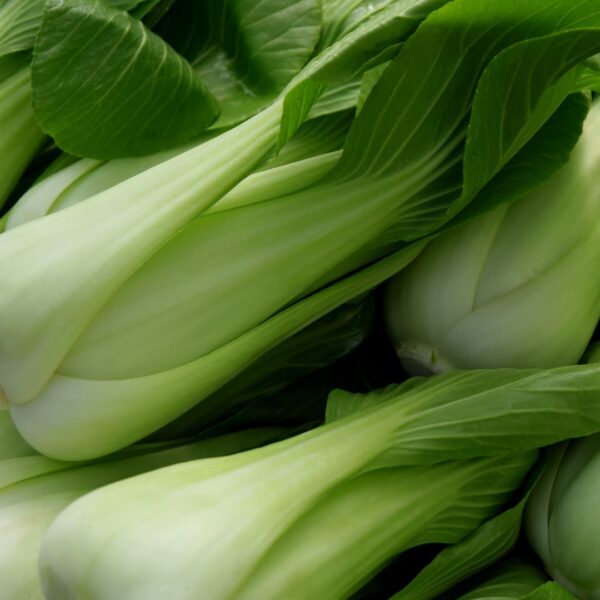 Organic Cabbage Pak Choi White - Image 2