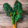 Swiss Chard - Orange Glory