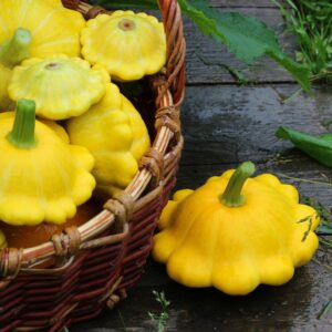 Squash Patisson Orange