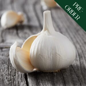 Garlic Cloves - Messidrome