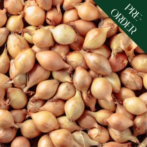 Onion Sets Shakespeare Autumn Sets (14-21mm)
