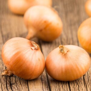 Shallots Red Sun (22-44mm)