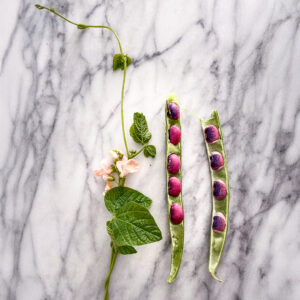 Sunset Beans freshly harvested out of the pod with peach flowers on white marble