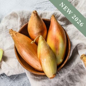 Birnformige Onions in a bowl on cloth