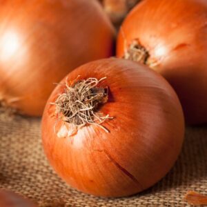 Contado onions on hessian