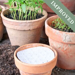 5 Herb Disc Collection - Seed Tape