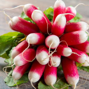 delicious radishes organic brunch on a rustic table