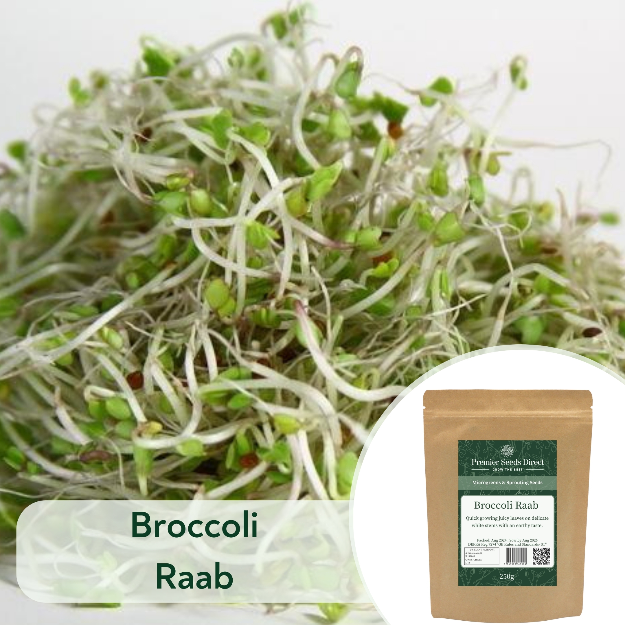 Broccoli Raab