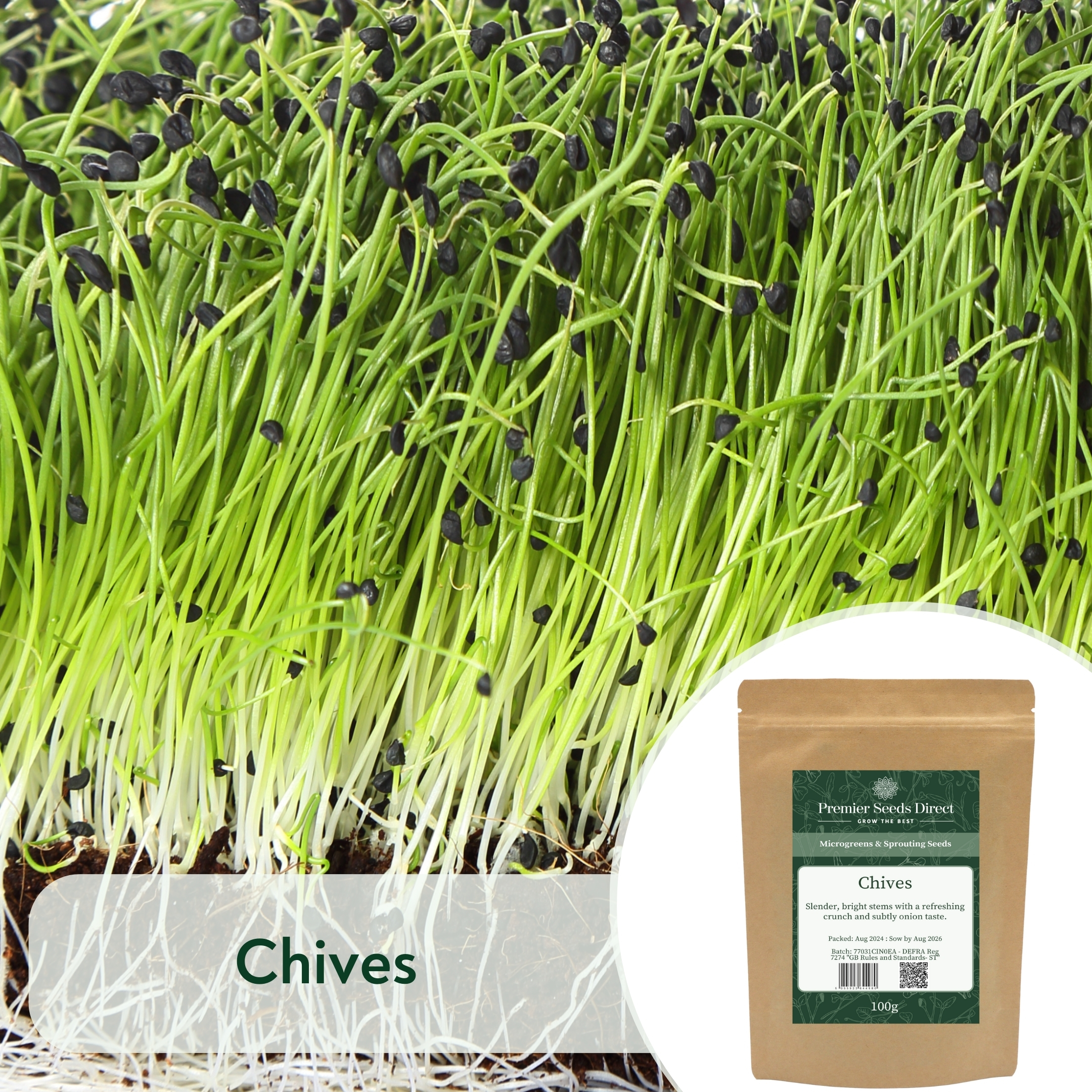 Chives