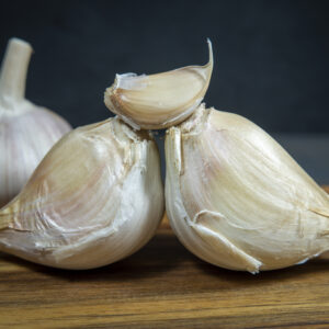 Elephant garlic (Allium ampeloprasum) regular garlic cloves on a wooden cutting board
