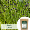 Garlic Chives - Microgreen/Sprouting