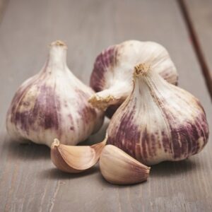 Garlic - Germidour