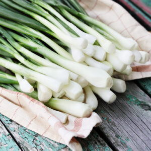 Fresh green onions on a wooden table