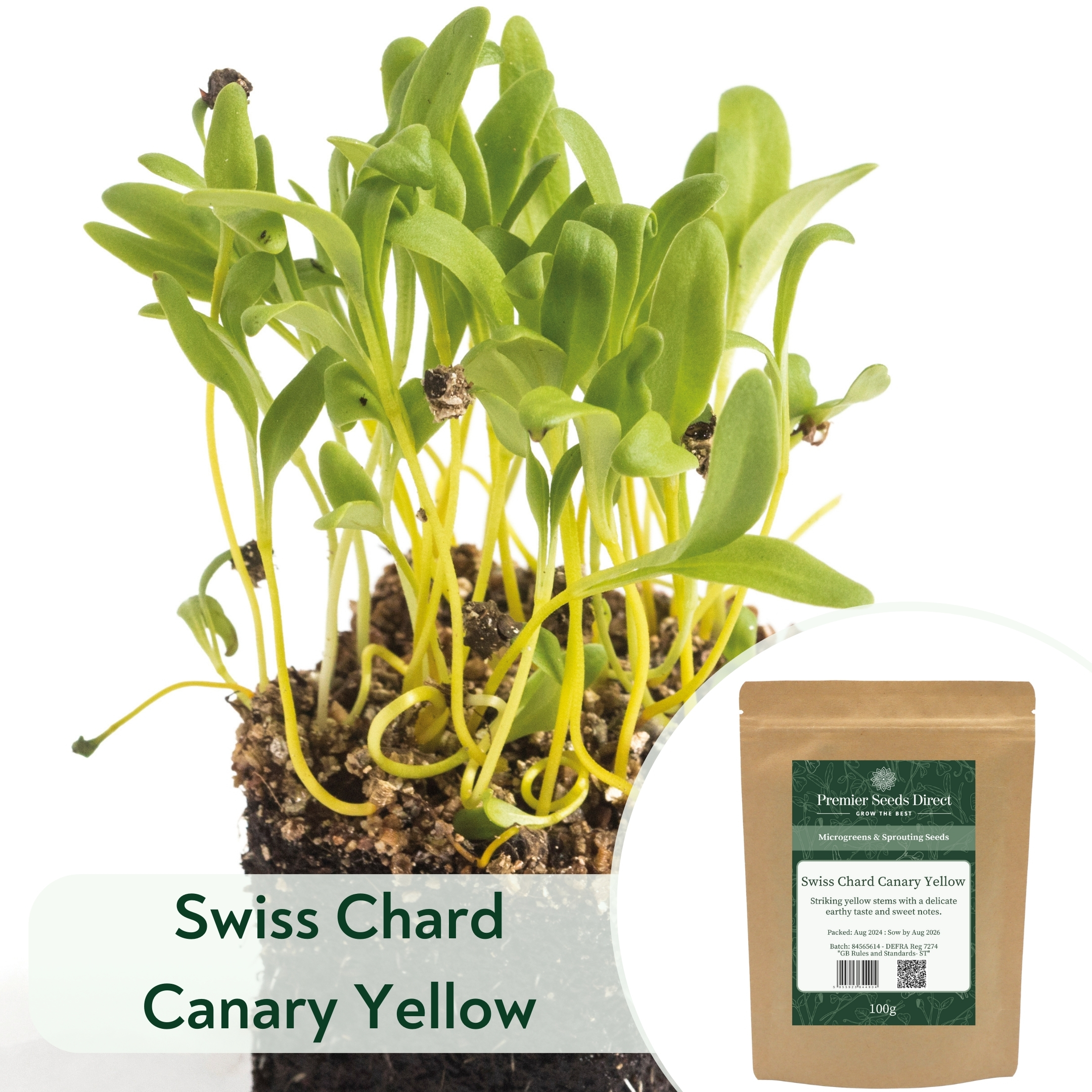 Swiss Chard Canary Yellow