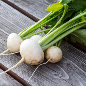 Harvesting,Fresh,White,Japanese,Turnip,Vegetable
