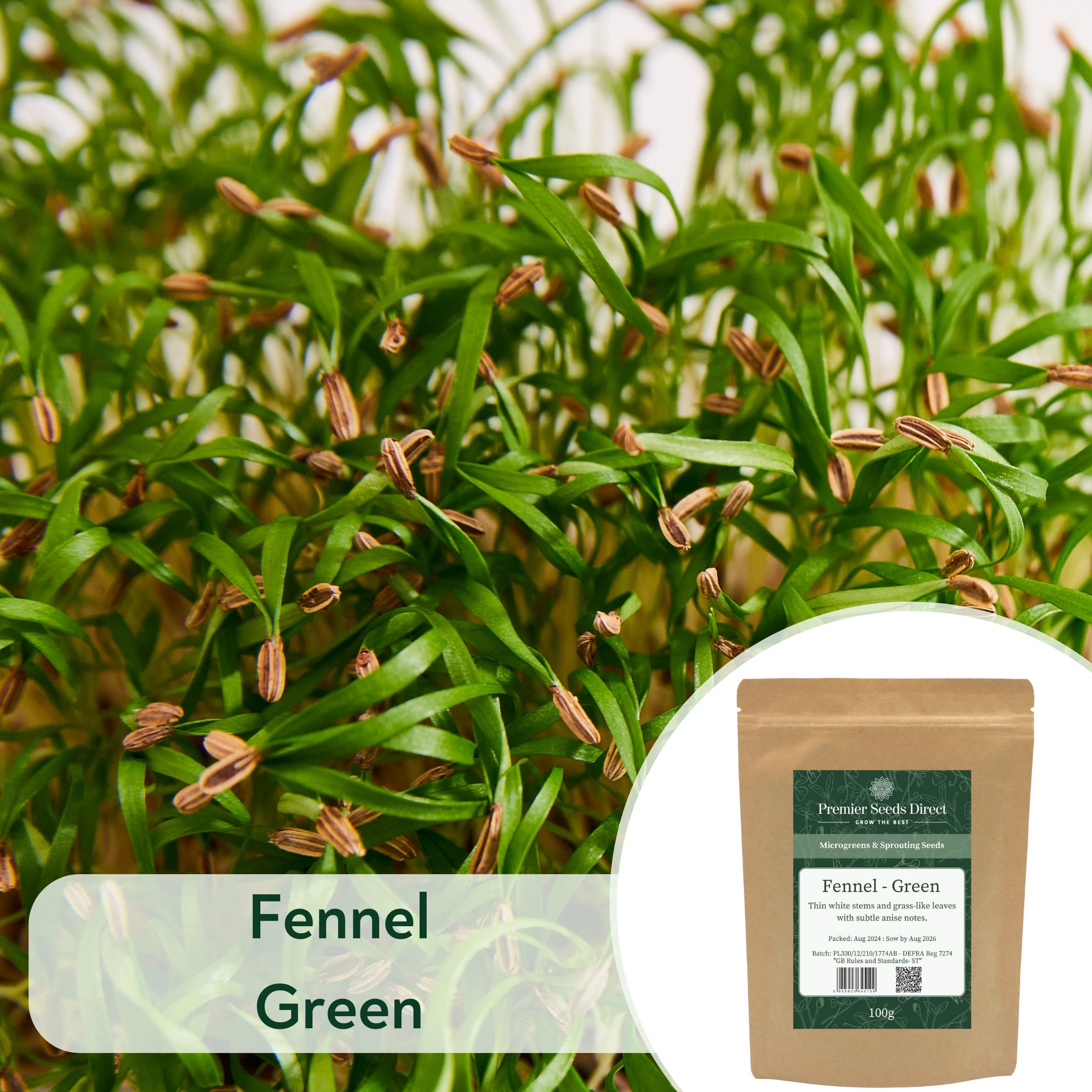 Fennel Green