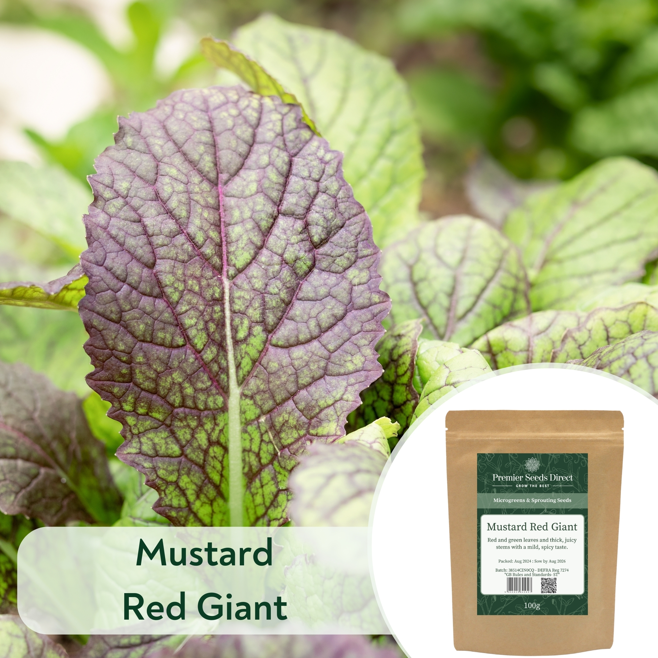 Mustard Red Giant