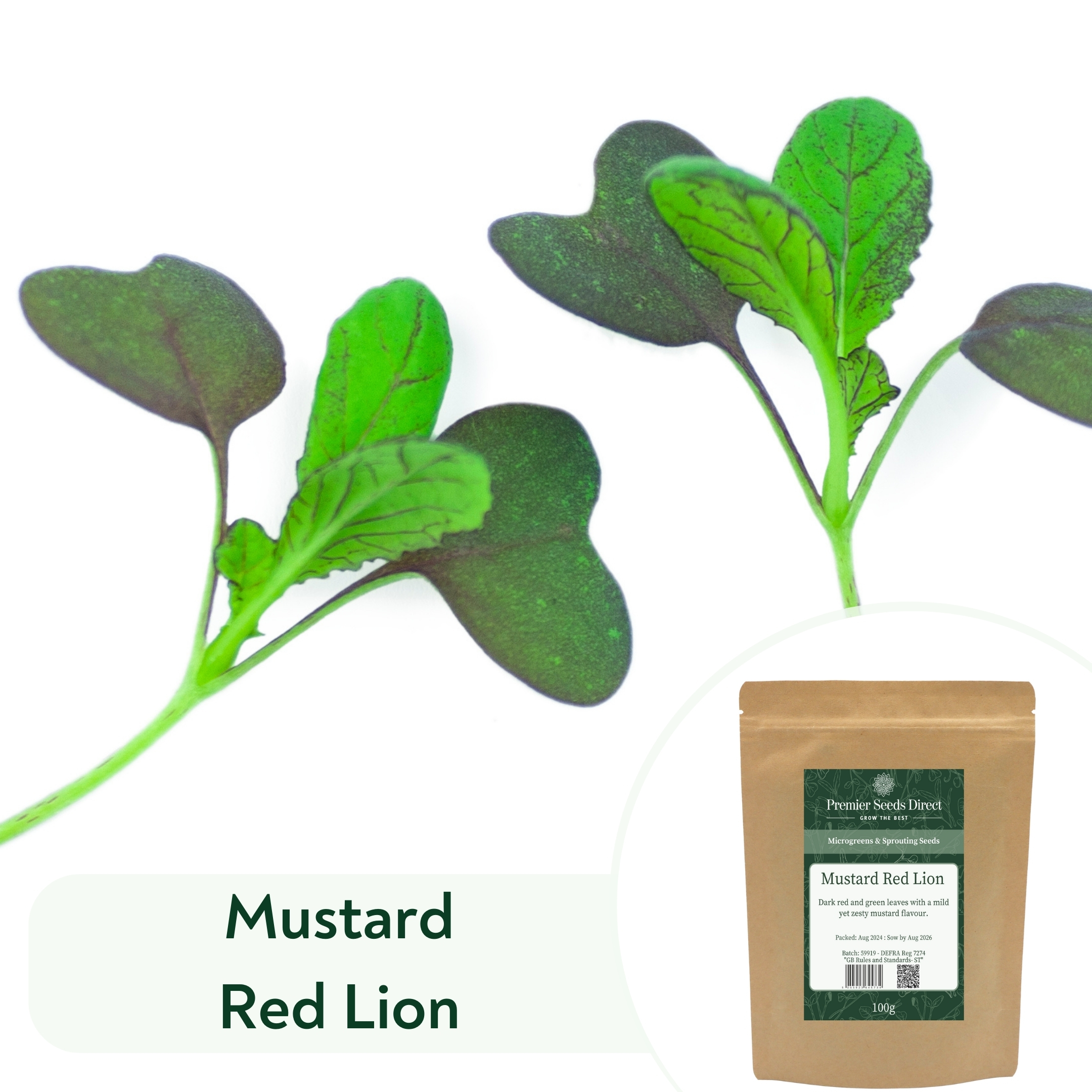 Mustard Red Lion