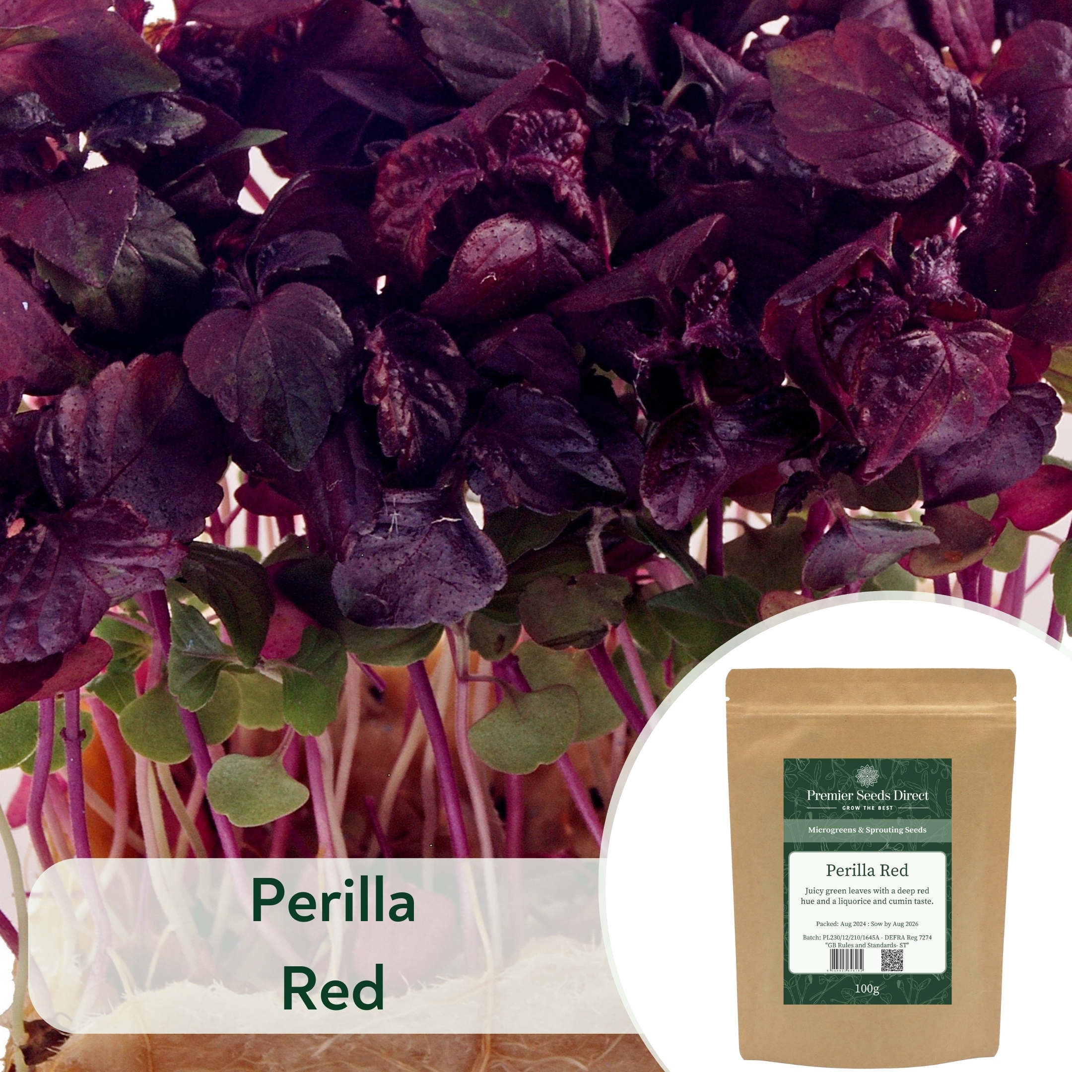 Perilla Red