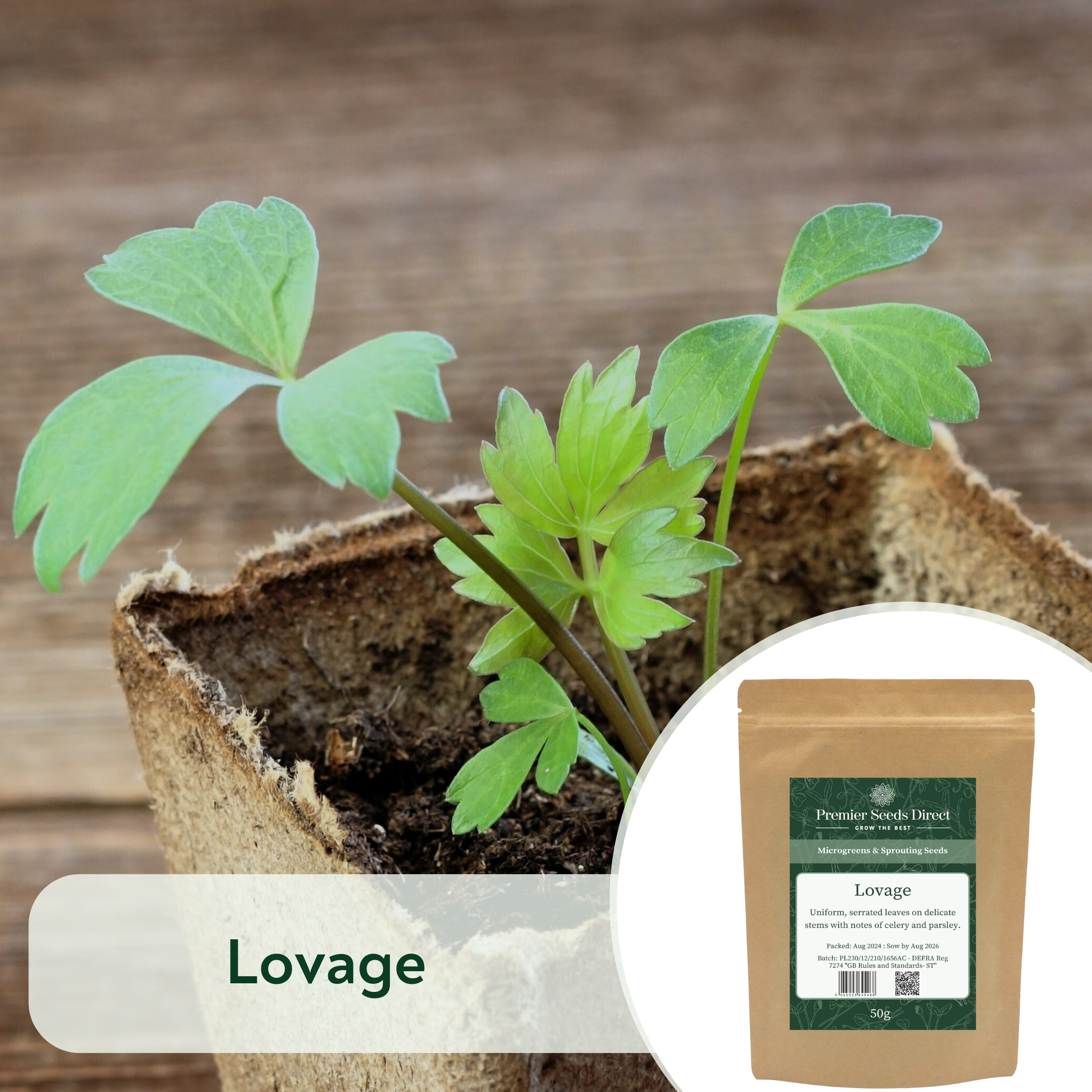 Lovage