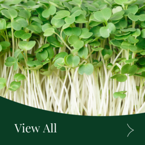 Microgreens