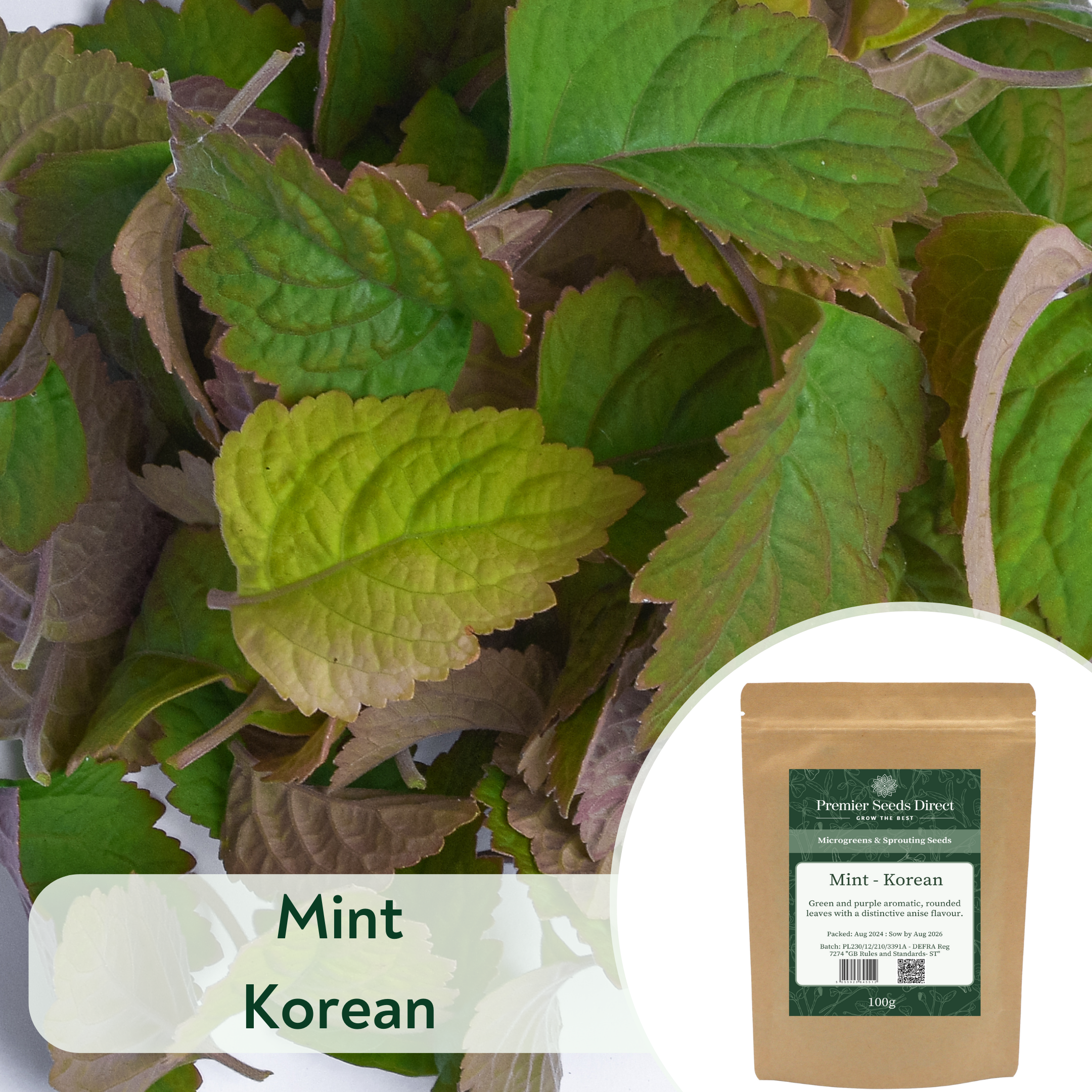 Mint Korean