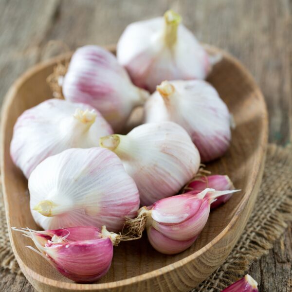 Garlic Cloves - Morado