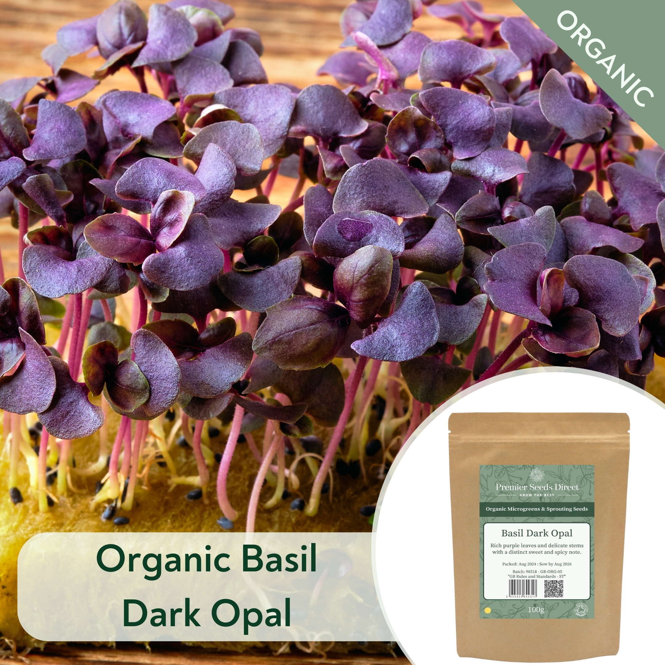 ORG Basil Dark Opal